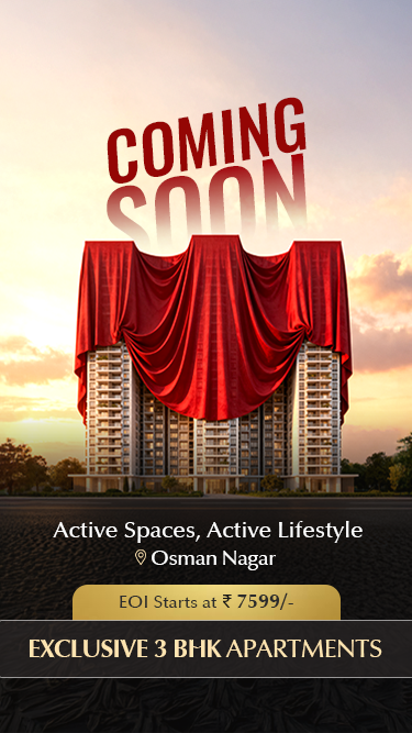 New Launch 